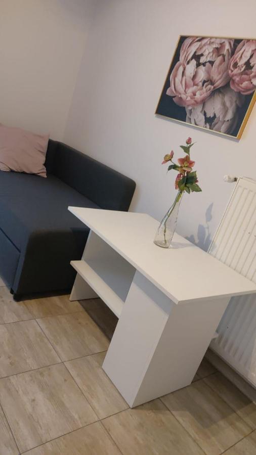 Apartamenty Grapa Szum Rzeki Parking Free Wisla Luaran gambar