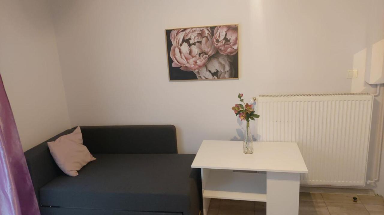 Apartamenty Grapa Szum Rzeki Parking Free Wisla Luaran gambar