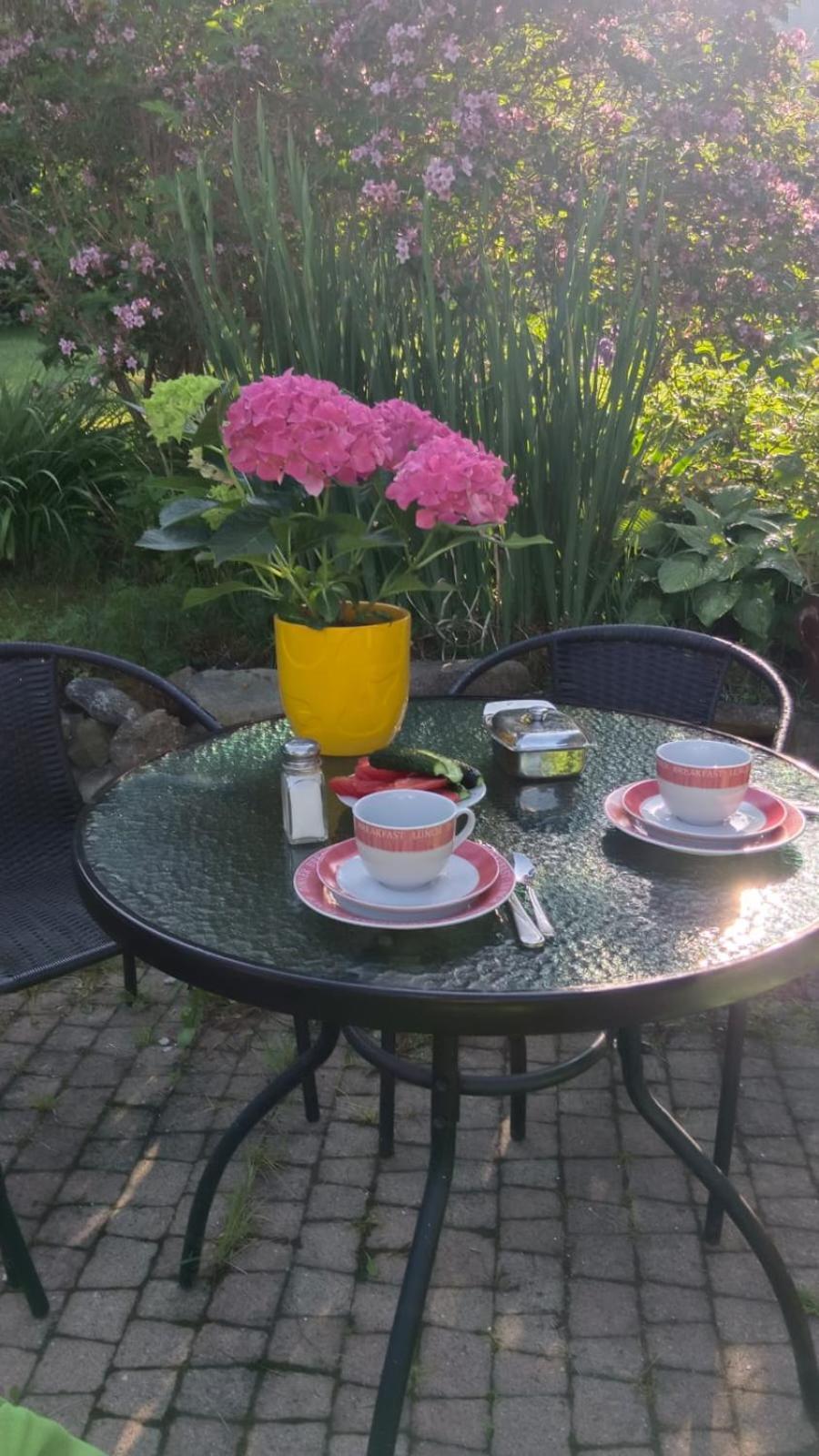 Apartamenty Grapa Szum Rzeki Parking Free Wisla Luaran gambar