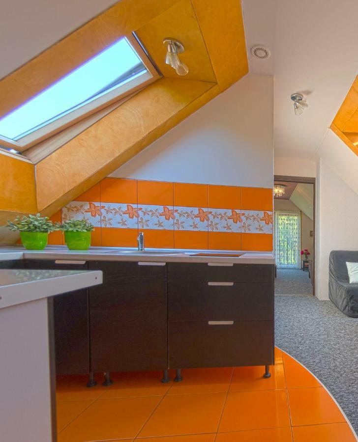 Apartamenty Grapa Szum Rzeki Parking Free Wisla Luaran gambar
