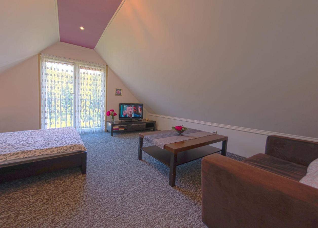 Apartamenty Grapa Szum Rzeki Parking Free Wisla Luaran gambar